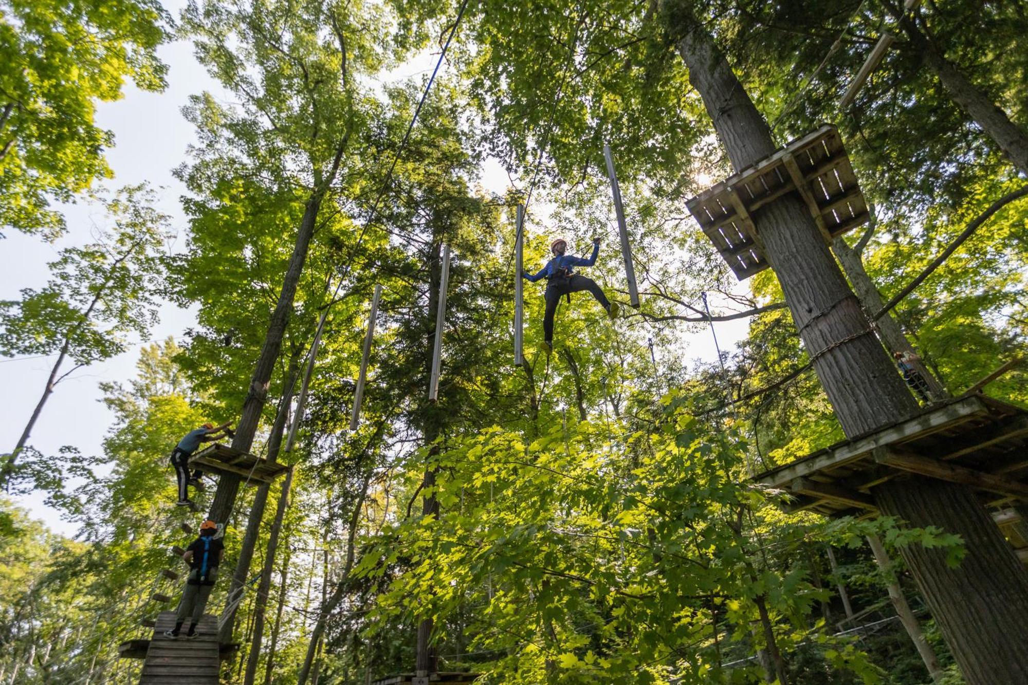 Blue Mountain Resort Home Collection بلو ماونتينز المظهر الخارجي الصورة